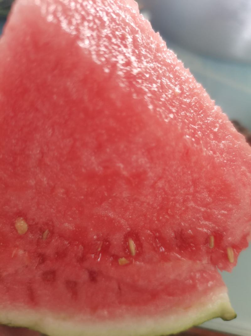 美都西瓜