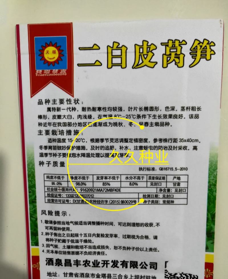 春秋二白皮莴笋种子高产耐寒热四季田园蔬菜种子阳台盆栽种植