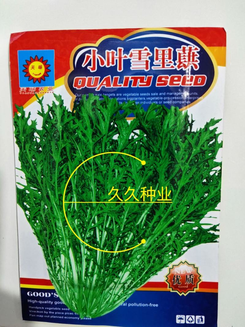 雪里蕻种子四季小叶雪里红种子春秋季高产雪菜菜籽农家腌制