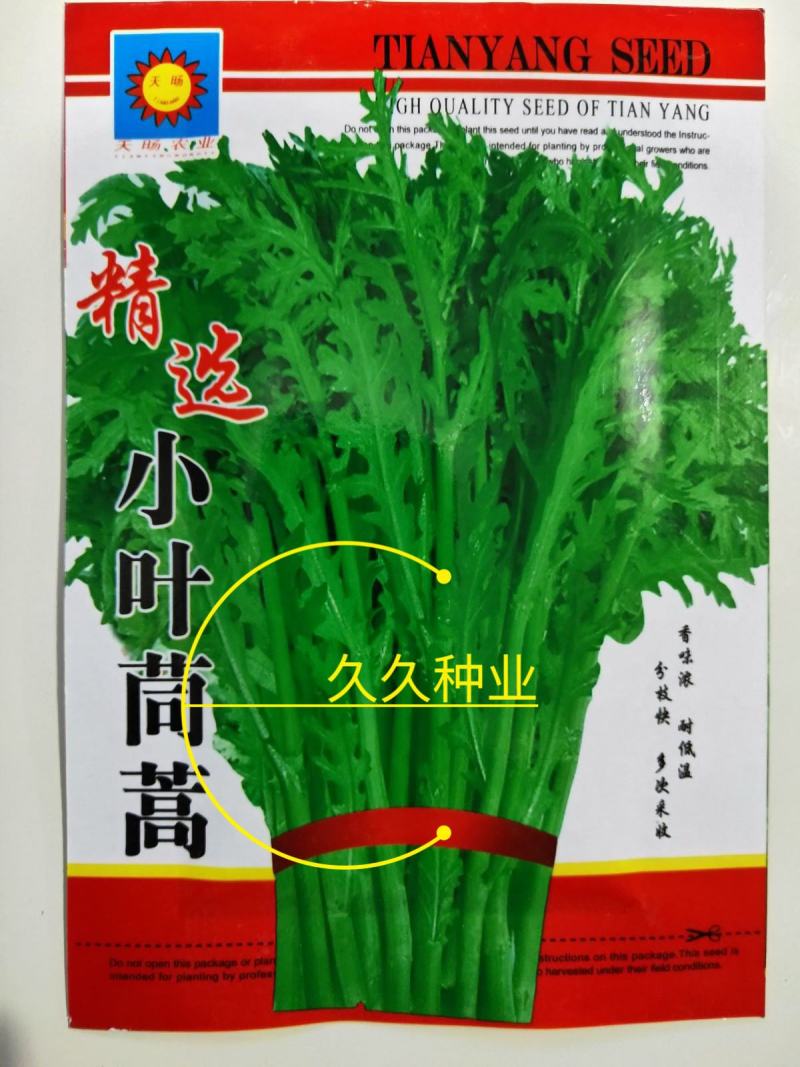 小叶茼蒿种子籽皇帝菜籽光杆阳台盆栽田园易种蔬菜种籽