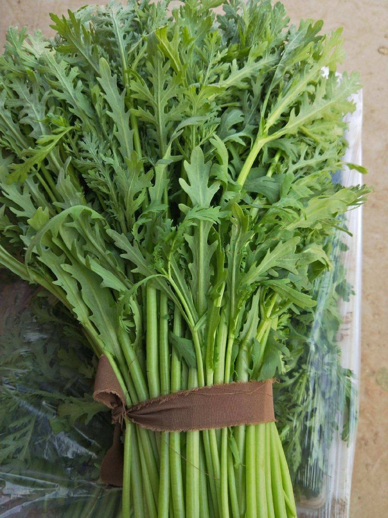 小叶茼蒿种子籽皇帝菜籽光杆阳台盆栽田园易种蔬菜种籽