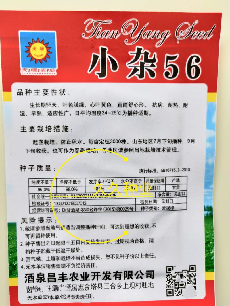 小杂56黄心白菜种子大白菜种子较早熟蔬菜种子四季阳台盆栽