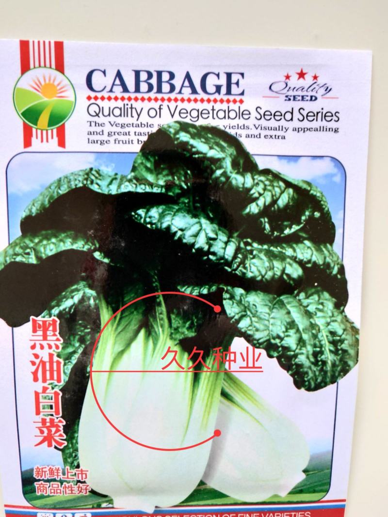 黑油白菜种子籽黑心乌皱叶黑白菜乌菜黑菜籽耐寒秋冬季蔬菜种