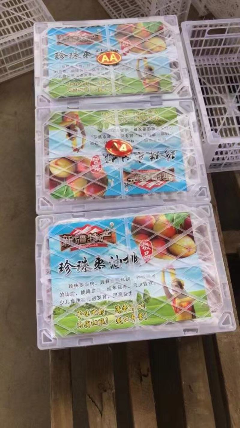 珍珠枣油桃产地直销陕西珍珠枣蜜桃基地珍珠枣油桃代购代销