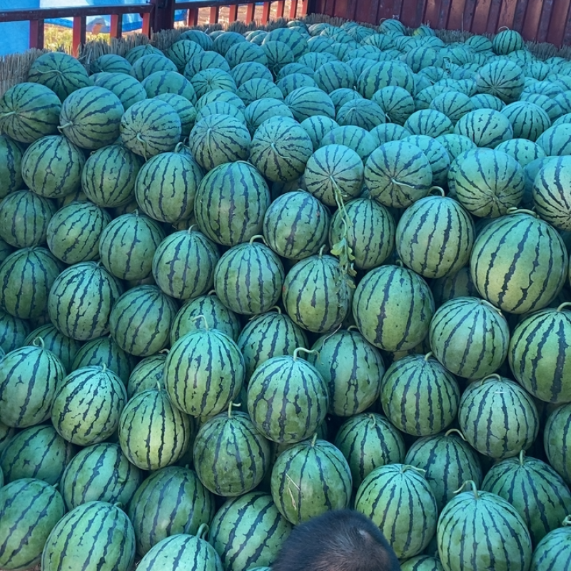 精品京欣系列大量上市，走货量大，需要的老板赶紧联系。