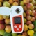 小红杏
