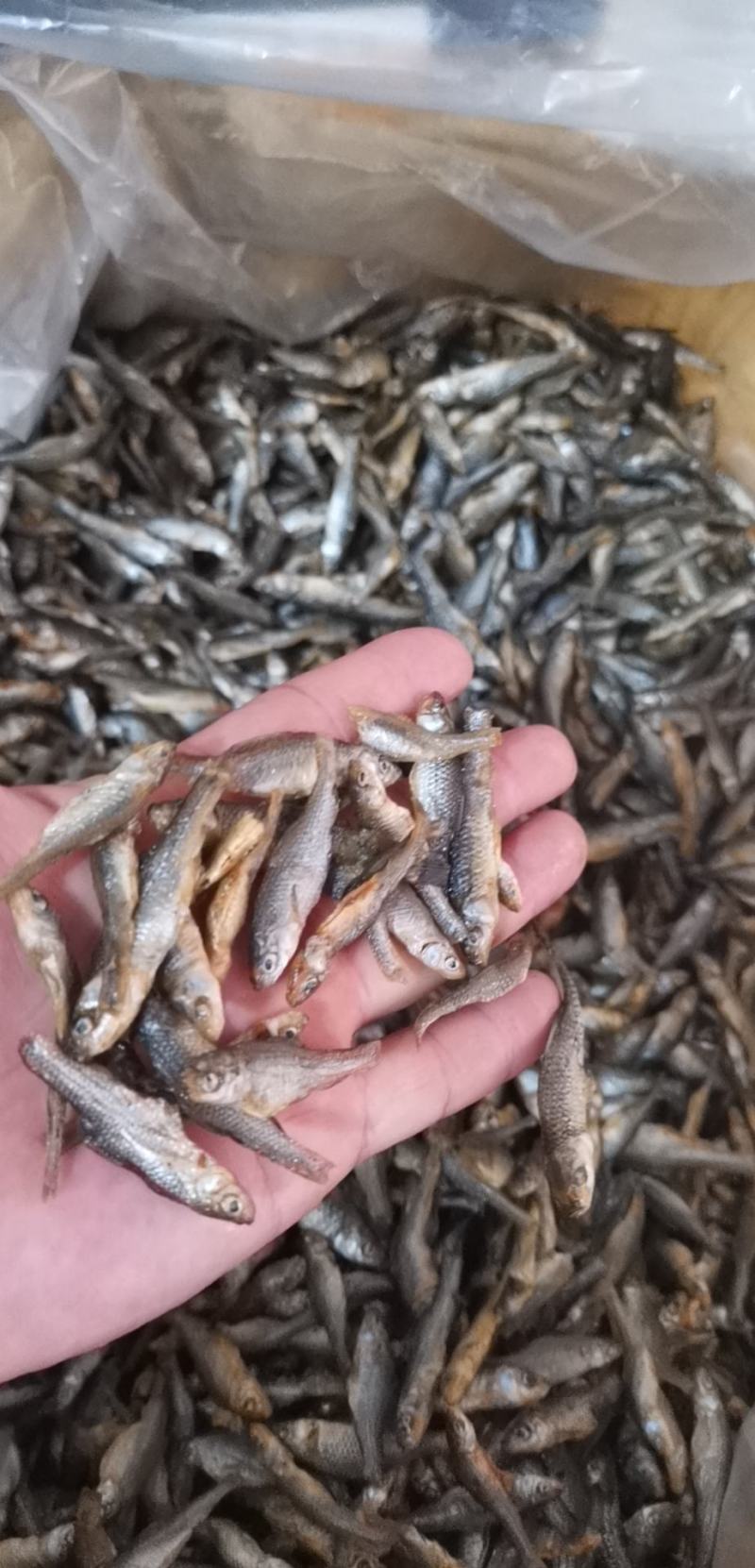 湖南特色小鱼小虾