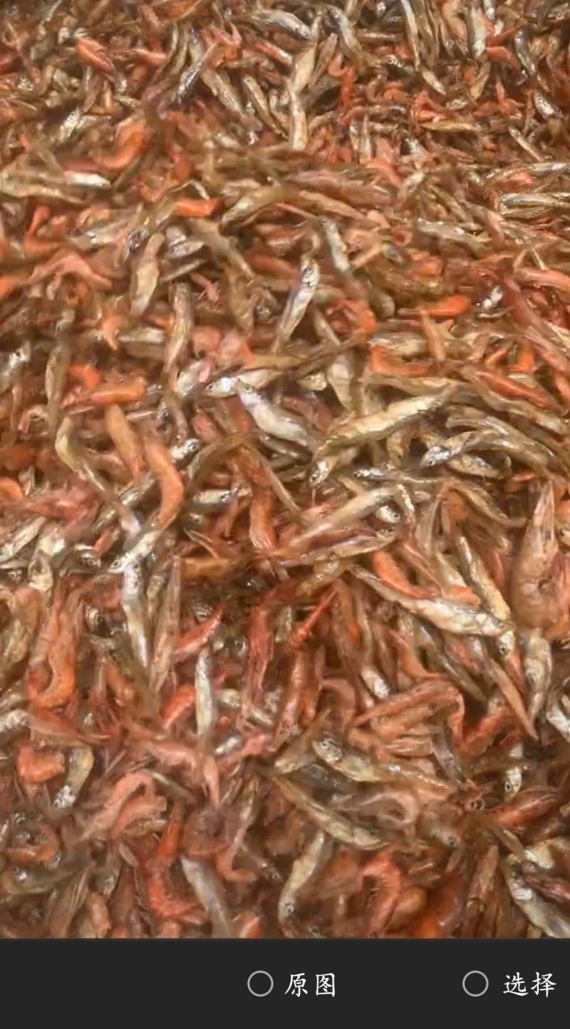 湖南特色小鱼小虾
