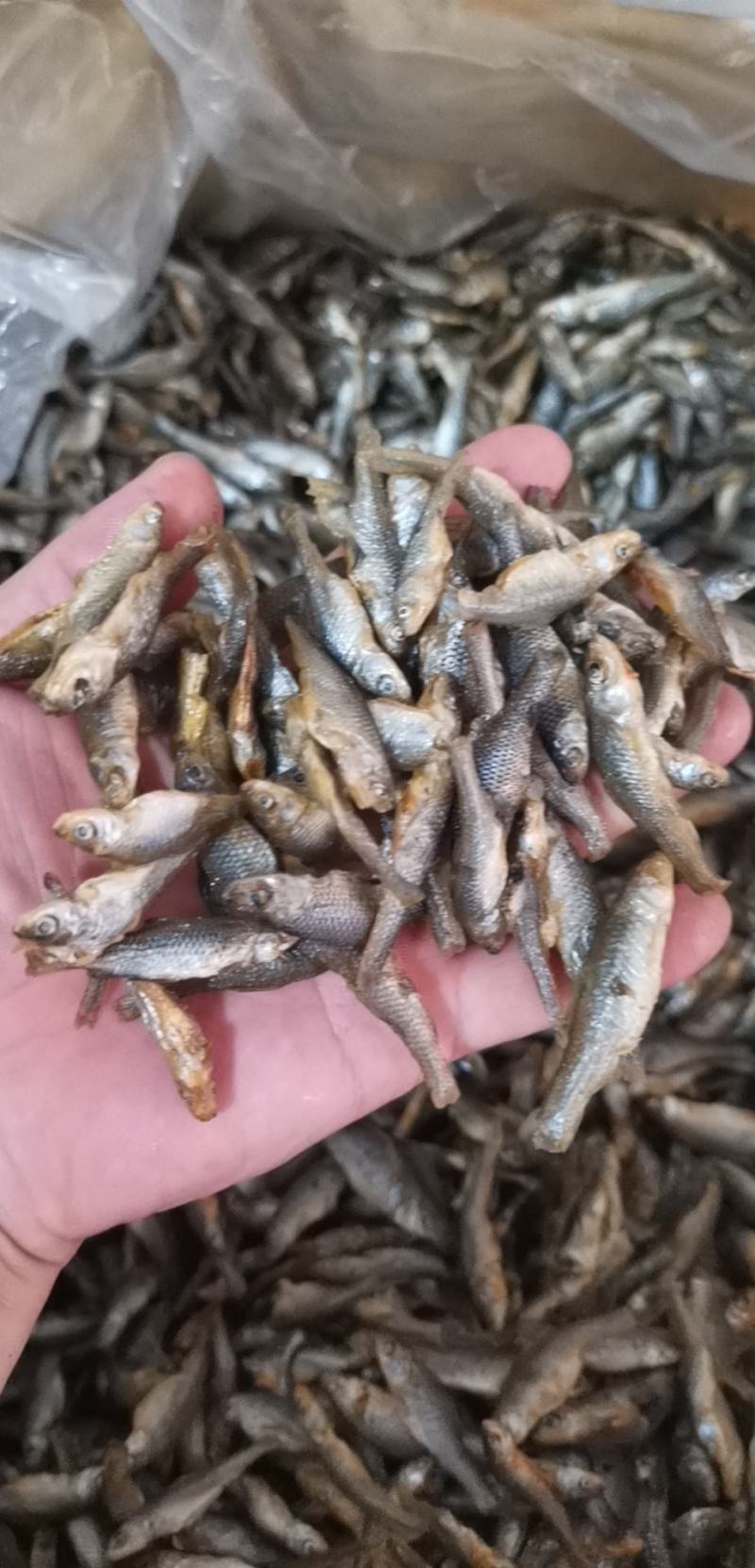 湖南特色小鱼小虾