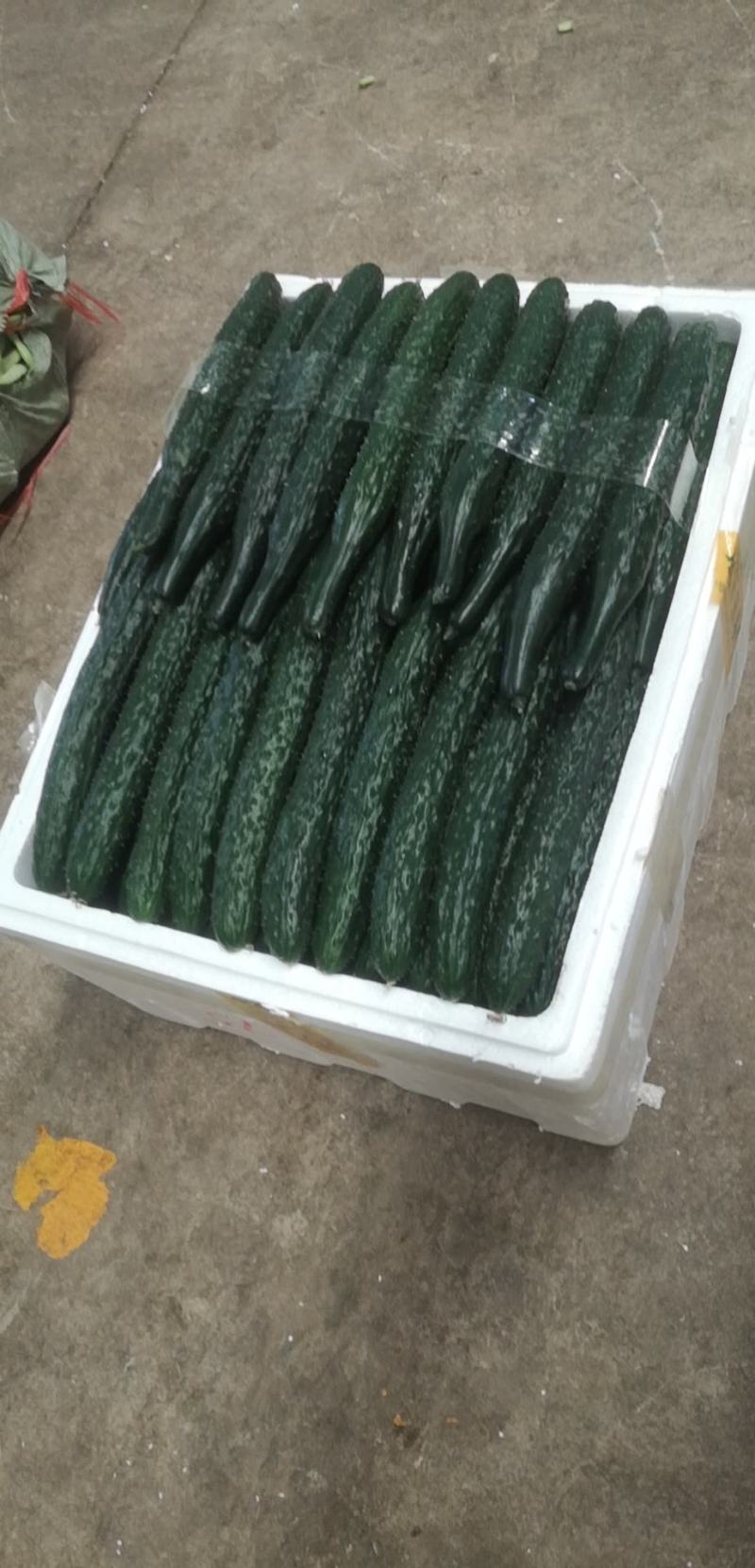 精品青瓜