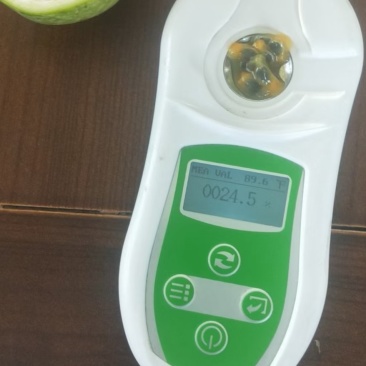 锌蜜9号百香果