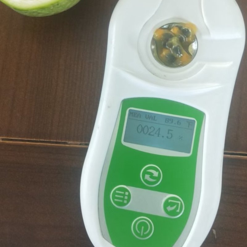 锌蜜9号百香果