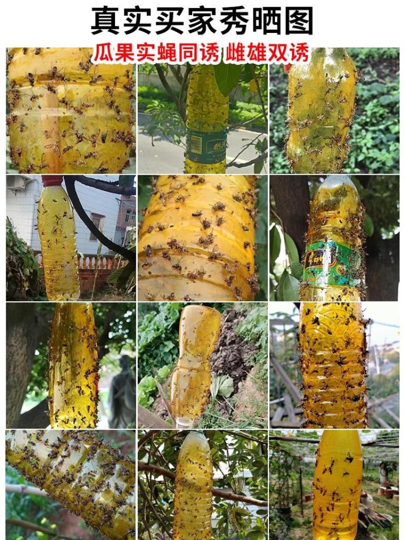 瓜果实蝇诱粘剂果蝇诱捕剂菜园果园果树诱虫剂