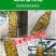 瓜果实蝇诱粘剂果蝇诱捕剂菜园果园果树诱虫剂
