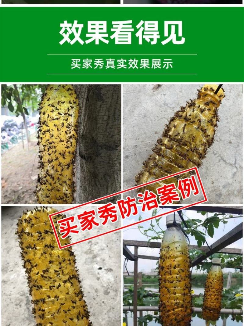 瓜果实蝇诱粘剂果蝇诱捕剂菜园果园果树诱虫剂