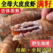 全母带黄带膏熟冻皮皮虾