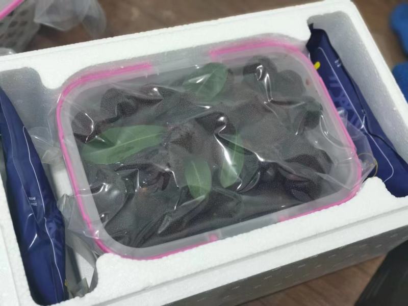 顺丰包邮浙江台州仙居东魁杨梅礼盒装