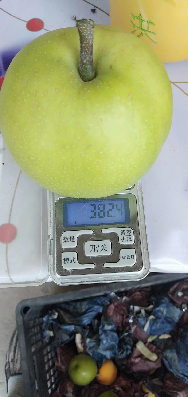 （实力推荐）安徽砀山酥脆一号梨个大皮薄口感脆甜欢迎咨询