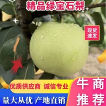 绿宝石梨青皮梨青皇冠支持一件代发社区团够商超市场出口贸易