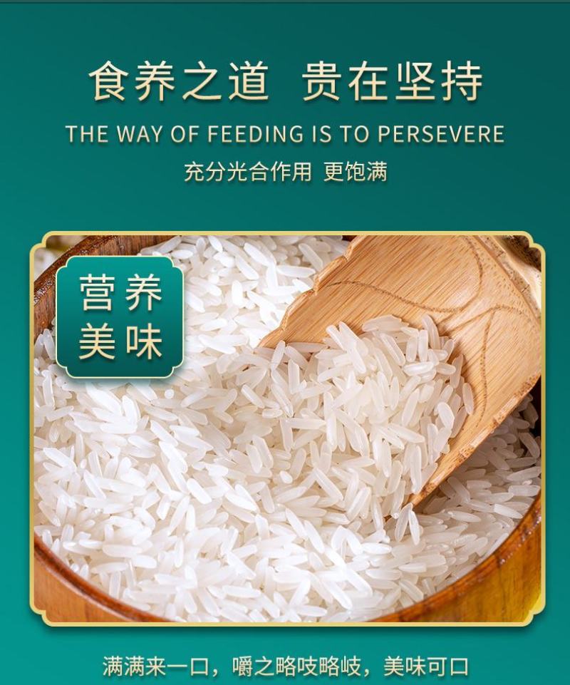 广东农家米50斤正宗香软长粒香籼米25kg厂家批发大米