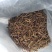 干四季豆脱水豆角，自然晒干，成色好有卖相。