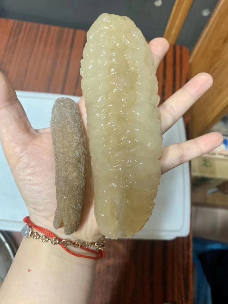 【精选澳洲沙秃参】纯淡干营养价值与蛋白质含量丰富