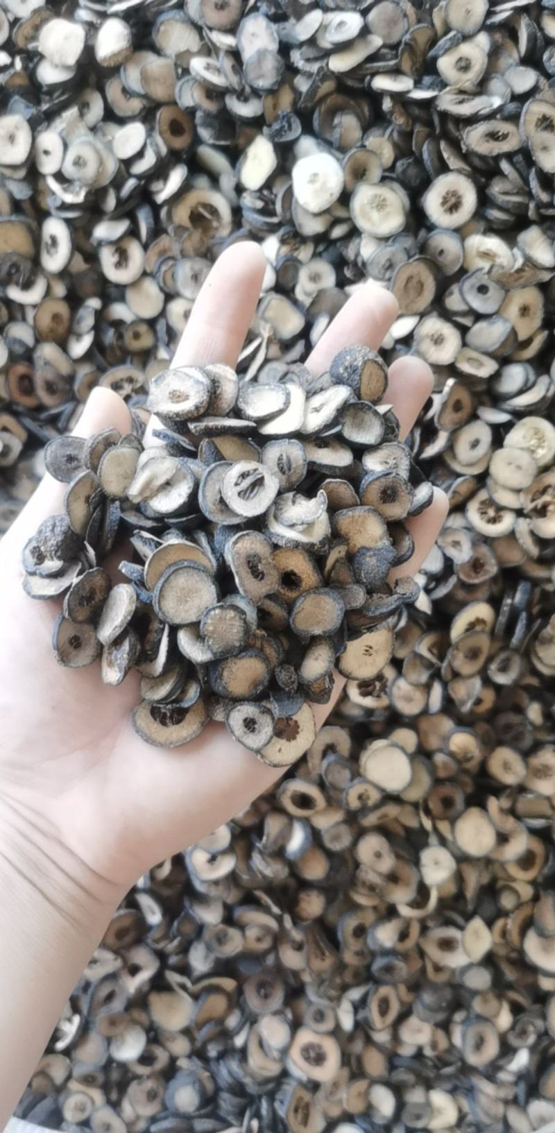 枳实统装500g产地浙江振兴药材购销站量大从优