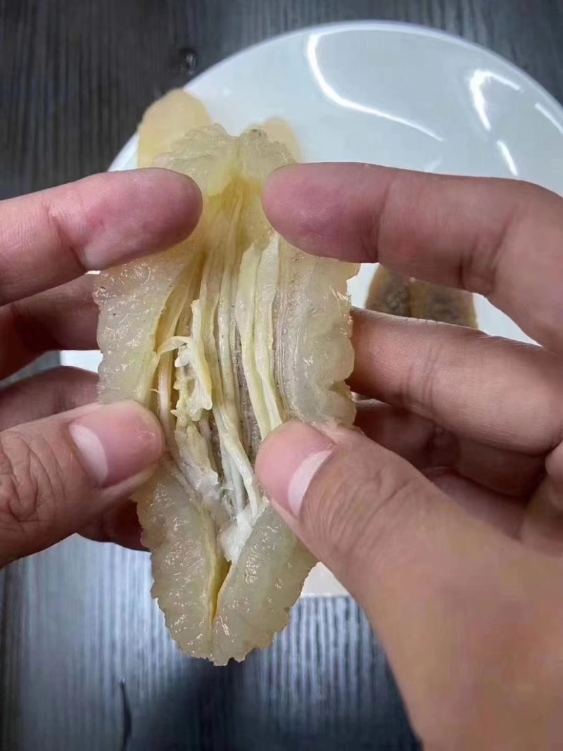 【精选澳洲沙秃参】纯淡干营养价值与蛋白质含量丰富