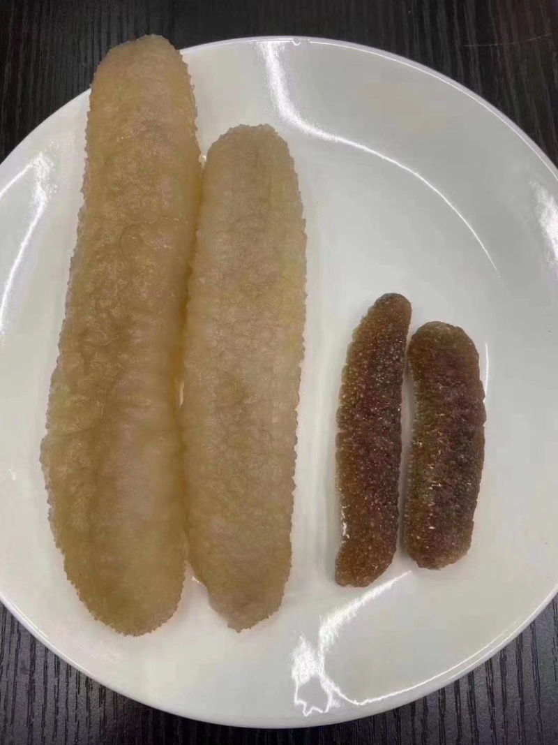 【精选澳洲沙秃参】纯淡干营养价值与蛋白质含量丰富