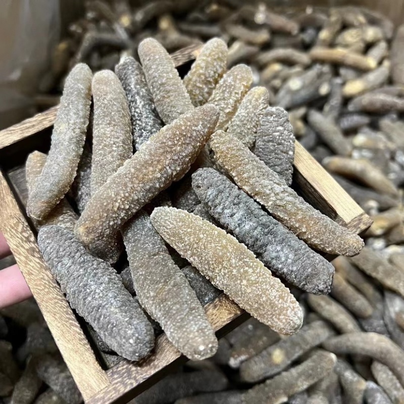 【精选澳洲沙秃参】纯淡干营养价值与蛋白质含量丰富