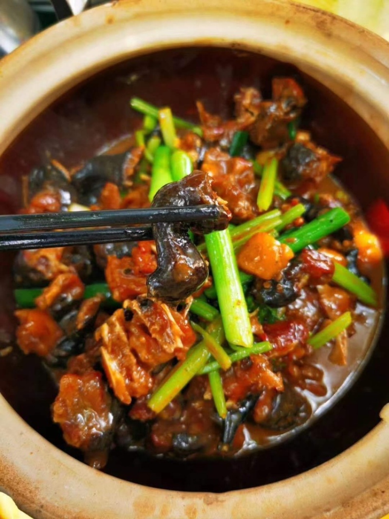 中华草龟肉，草龟乌龟肉去磨皮大量批发对接