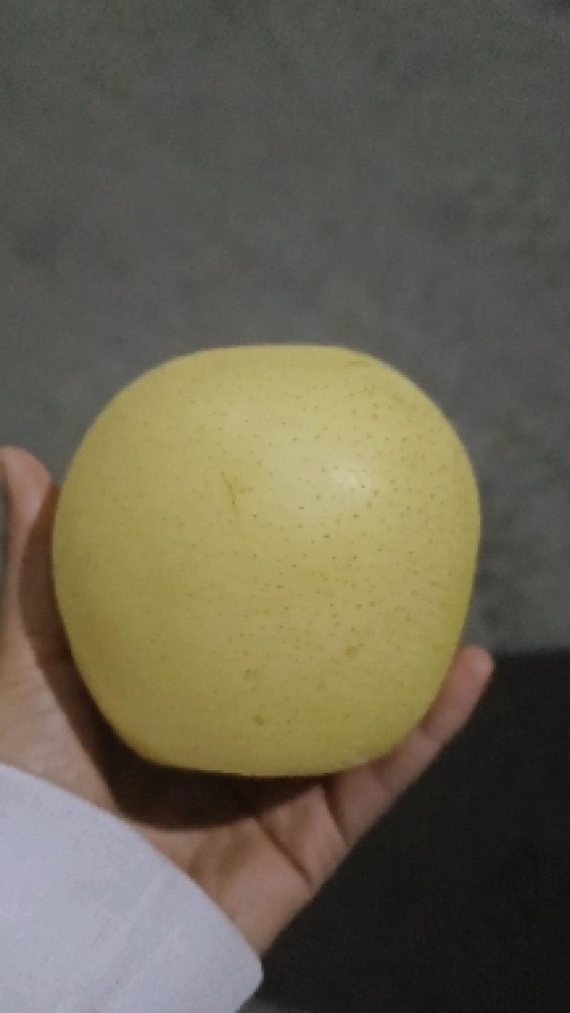 【优选】河北青皇冠梨，产地直供，口感翠甜皮薄汁多价