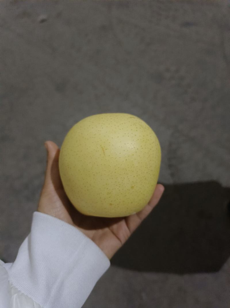 【优选】河北青皇冠梨，产地直供，口感翠甜皮薄汁多价