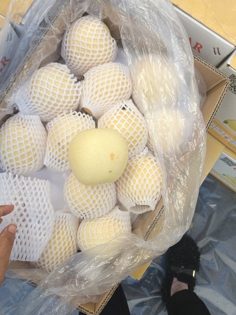 河北【精选】纸袋黄冠梨色泽好果点小个头大味很甜