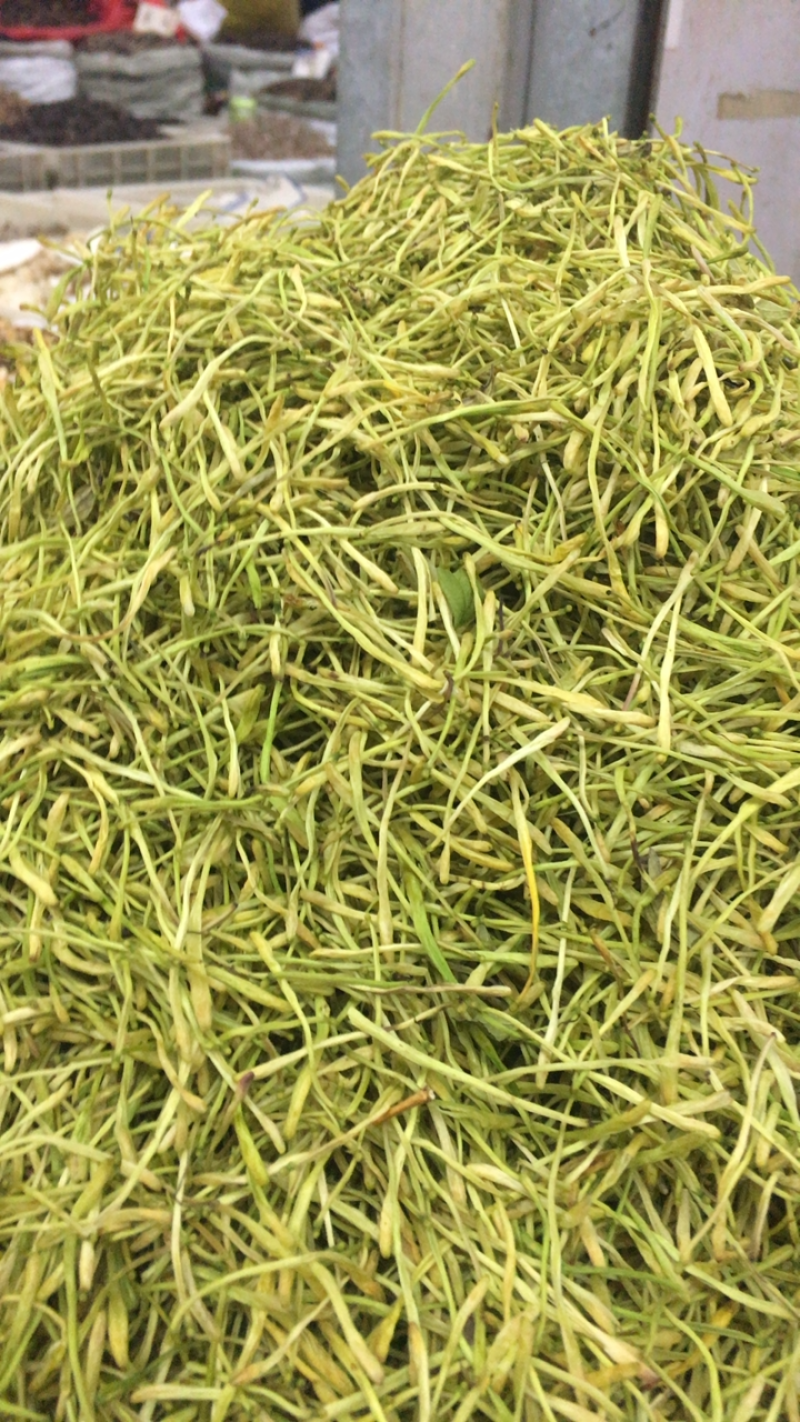 色黄山银花