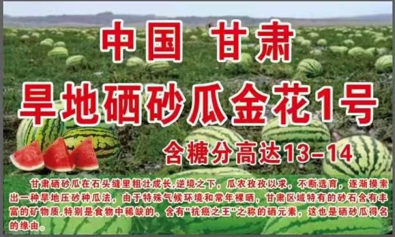 产地直供靖远县金花一号硒砂瓜，一手货源个头大保值欲购从速