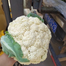 精品有机菜花