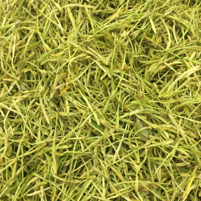 色黄山银花