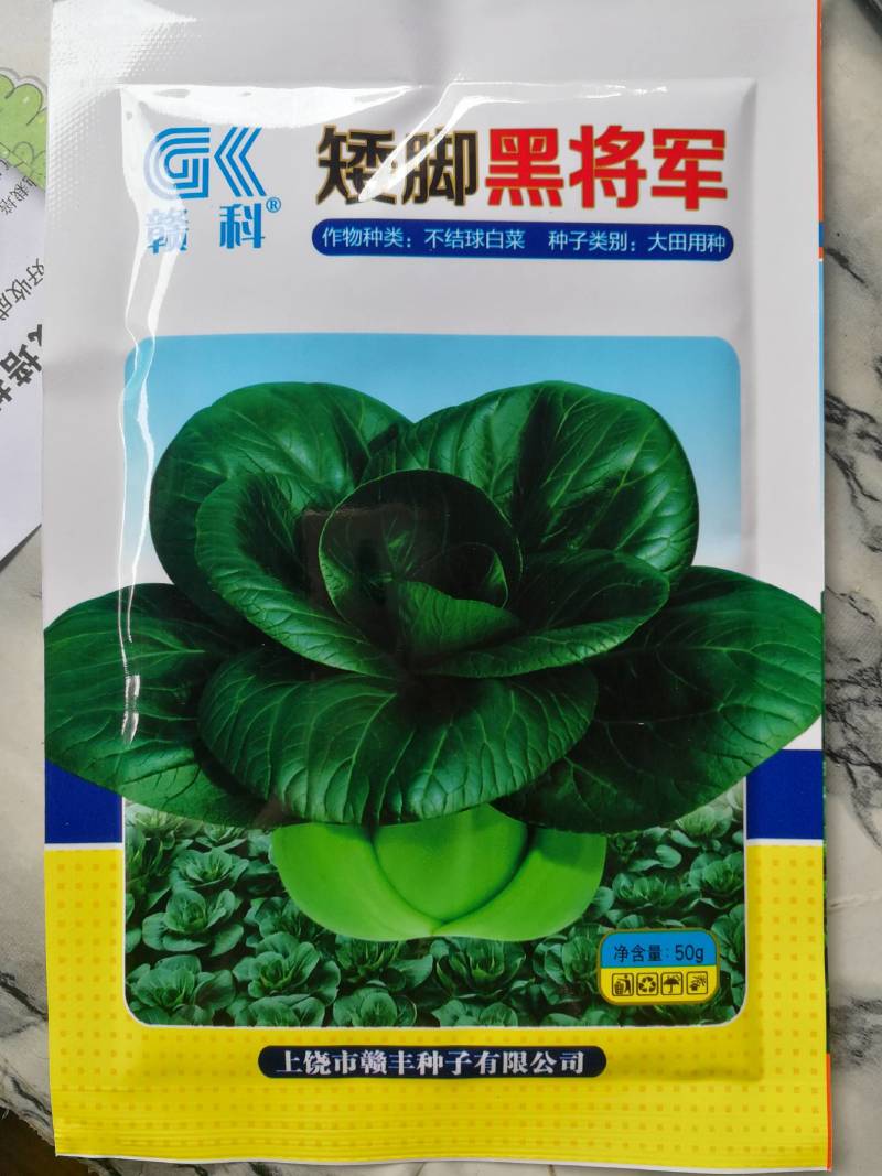 矮脚黑将军，青梗菜品种，具有冬性强品质好束腰明显等特点。