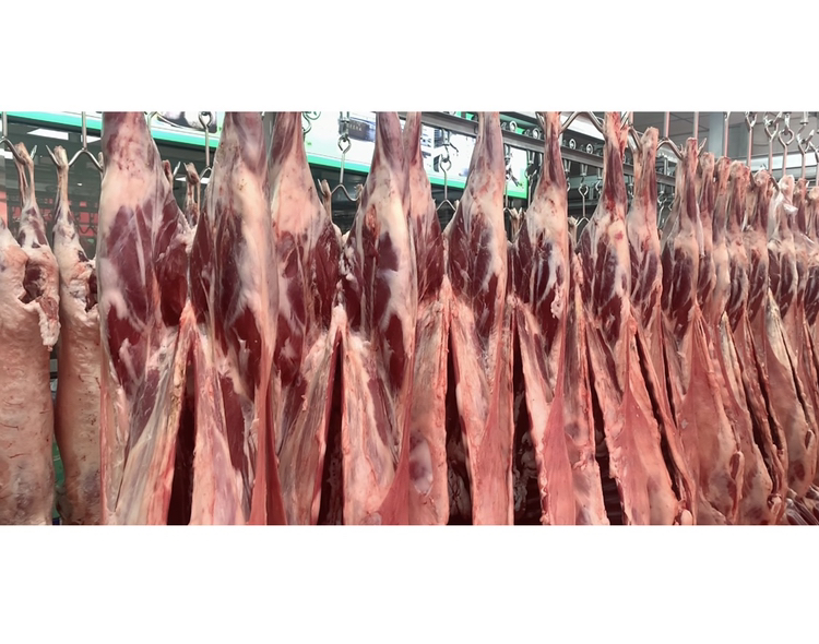 展示消费者在市场挑选新鲜白条羊的场景,摊位整洁,羊肉悬挂展示,体现专业与卫生标准 白条羊市场选购场景图