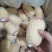 厂家直销半成品和熟食