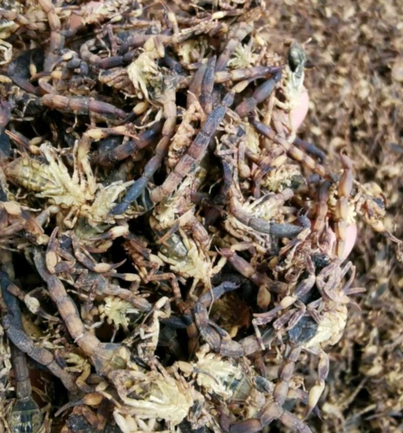 纯干货统装500g振兴药材购销站
