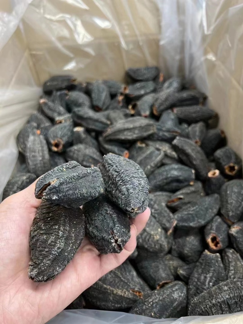 淡干加拿大参筒粗壮的金黄色内筋肉壁厚实软嫩