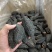 淡干加拿大参筒粗壮的金黄色内筋肉壁厚实软嫩