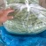 【热】山西四季豆应县扁豆白无丝品种齐全产地直发欢迎来电咨询
