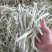 【热】山西四季豆应县扁豆白无丝品种齐全产地直发欢迎来电咨询