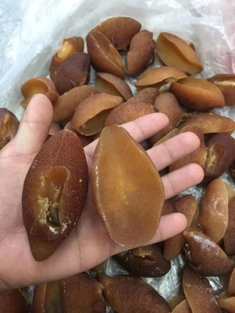 鲍螺肉新鲜干度好煲汤或闷煮5-10头