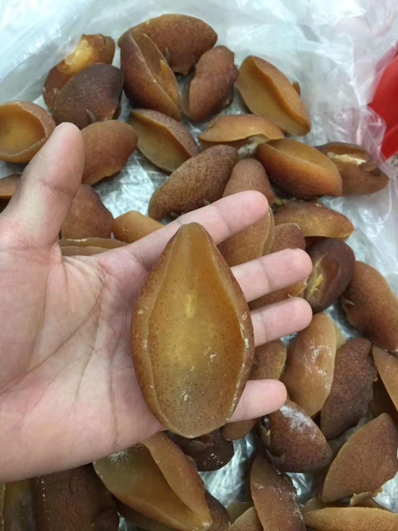 鲍螺肉新鲜干度好煲汤或闷煮5-10头