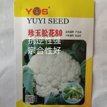 珍玉松花80青梗花菜种子松大囗感好单球重2000克商品性