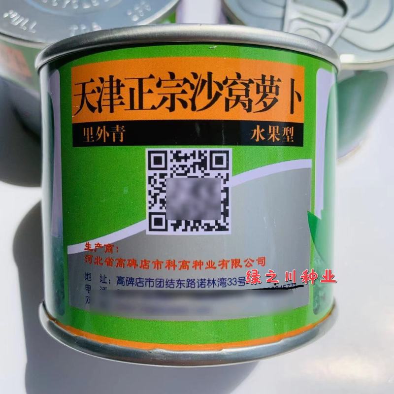 正宗天津沙窝萝卜种子肉翠绿色水果型萝卜种子甜脆味美